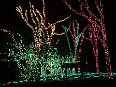 057 Toledo Zoo Light Show [2008 Dec 27]